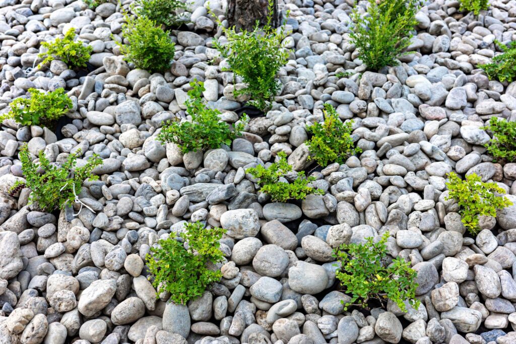 Galabau Ahlers 27777 Ganderkesee