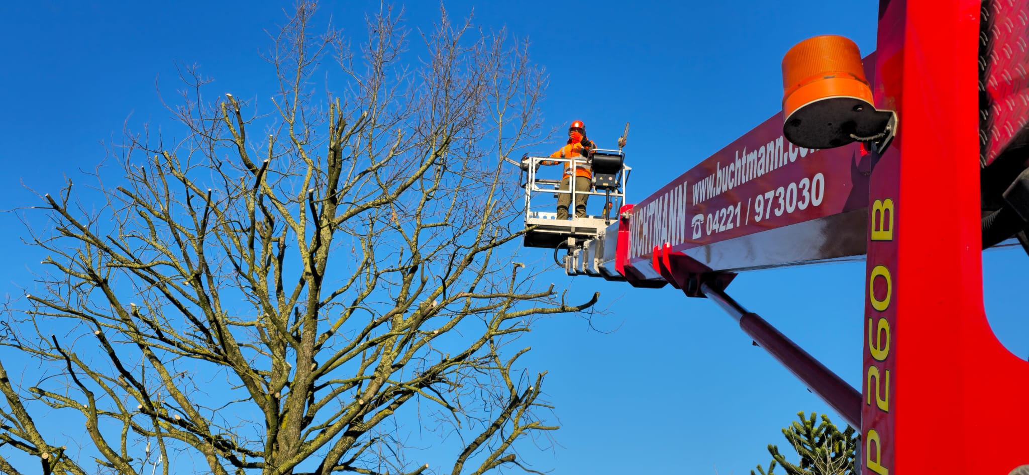 WhatsApp Image 2026 03 24 at 07.55.10 3